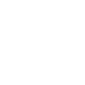 Logo 35